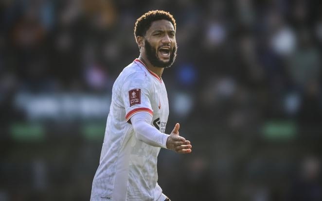 为了更好地 为了更好地